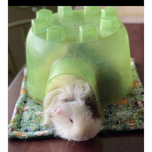 Guinea Pig Small Animal Pads 11" Reversible Fleece Boho Retro VW Cage Decor X2 - Picture 3 of 6